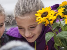 Bürgerfrühstück 2014